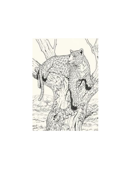 ART BOOK MONDE ANIMAL