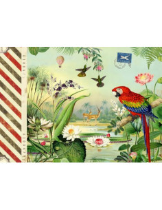 CAHIER ILLUSTRE - GLOBE TROTTER