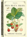 CAHIER IMAGIER LES FRUITS
