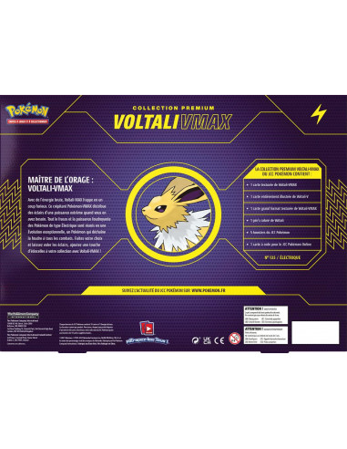 POKEMON : COFFRET V MAX FA 2021