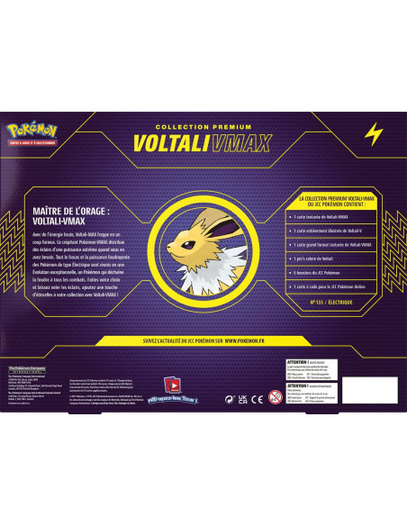 POKEMON : COFFRET V MAX FA 2021