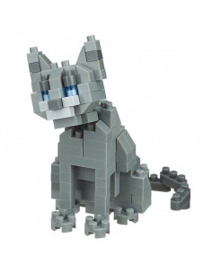 Russian blue