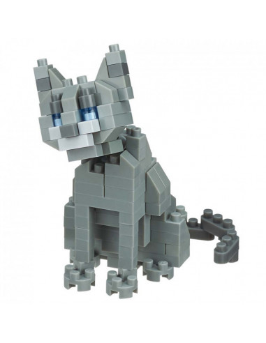 Russian blue