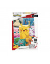 Nathan - puzzle Types Pokémon 250p