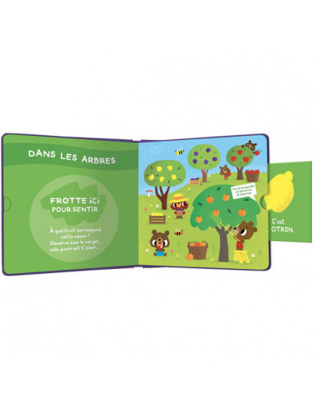 Mon cherche et trouve des odeurs - les fruits