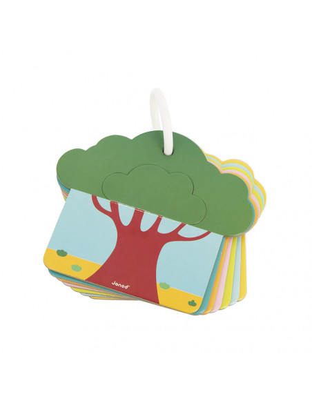 CARTES TACTILES SAVANE