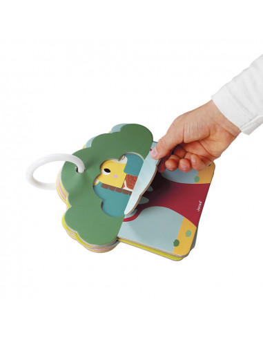 CARTES TACTILES SAVANE