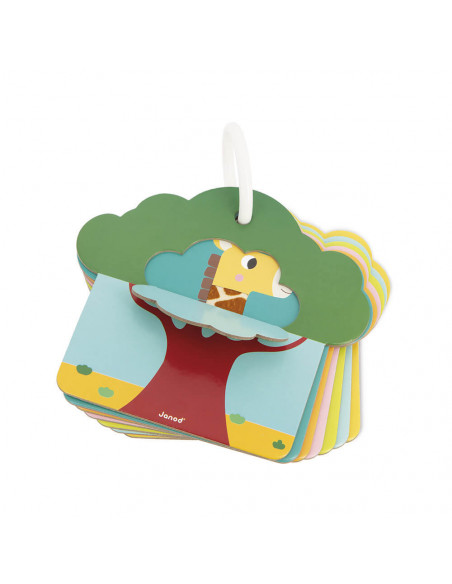 CARTES TACTILES SAVANE