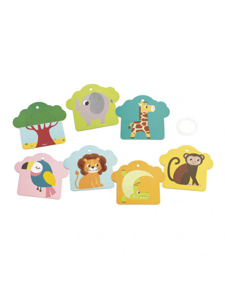 CARTES TACTILES SAVANE