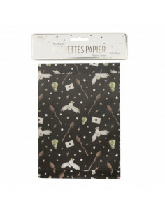 Pochettes papier apprenti sorcier x8