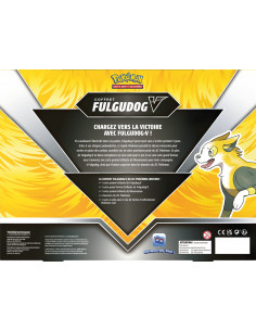 Pokémon : coffret fulgudog-v 2