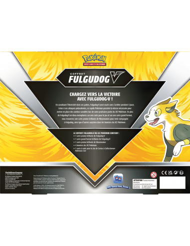 Pokémon : coffret fulgudog-v