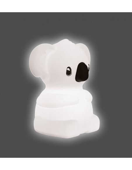 Kidynight koala
