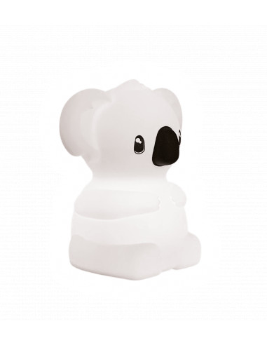 Kidynight koala