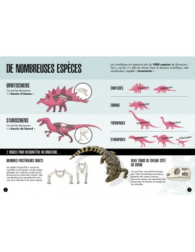 3D MODELS - BABY DINO - LE TRICÉRATOPS -LÈRE DES DINOSAURES
