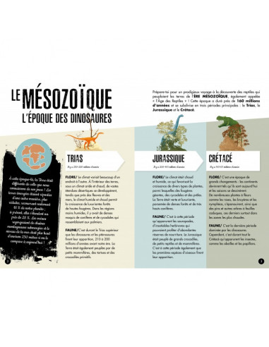 3D MODELS - BABY DINO - LE TRICÉRATOPS -LÈRE DES DINOSAURES