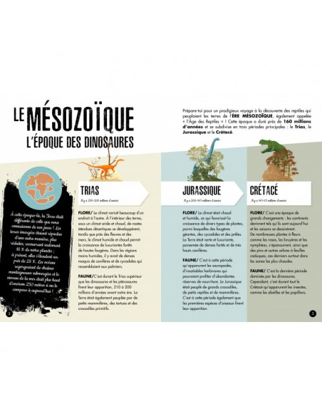 3D MODELS - BABY DINO - LE TRICÉRATOPS -LÈRE DES DINOSAURES