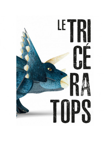 3D MODELS - BABY DINO - LE TRICÉRATOPS -LÈRE DES DINOSAURES
