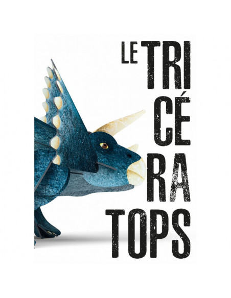 3D MODELS - BABY DINO - LE TRICÉRATOPS -LÈRE DES DINOSAURES