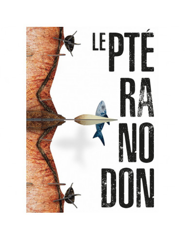 3D MODELS - BABY DINO - LE PTÉRANODON - LÈRE DES DINOSAURES