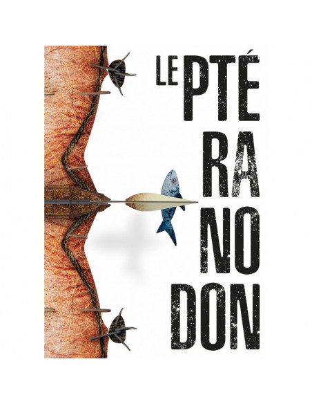 3D MODELS - BABY DINO - LE PTÉRANODON - LÈRE DES DINOSAURES