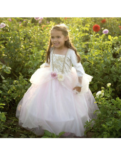 Robe de princesse rose pale et or 2