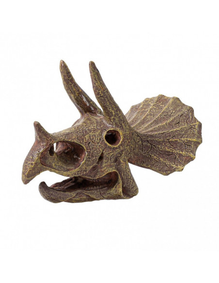 MUSEUM DINO SKULL - T-REX TRICERATOPS