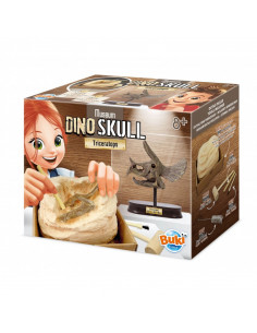 MUSEUM DINO SKULL - T-REX TRICERATOPS