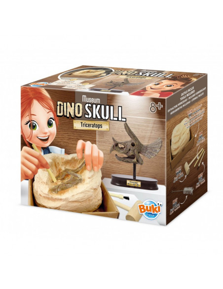 MUSEUM DINO SKULL - T-REX TRICERATOPS