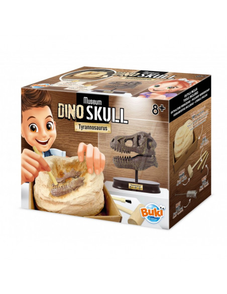 MUSEUM DINO SKULL - T-REX TYRANNOSAURE