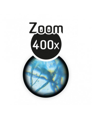 Microscope 15 expériences
