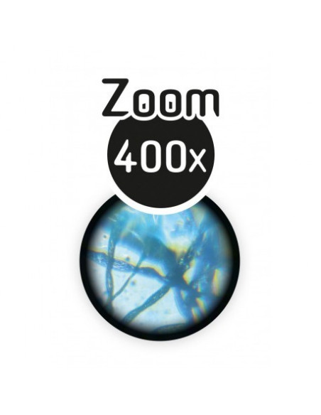 Microscope 15 expériences