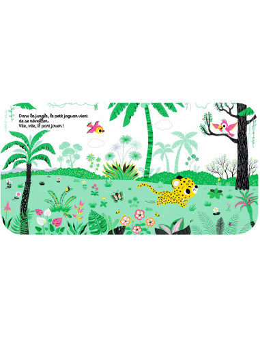 REGARDE DANS LA JUNGLE	