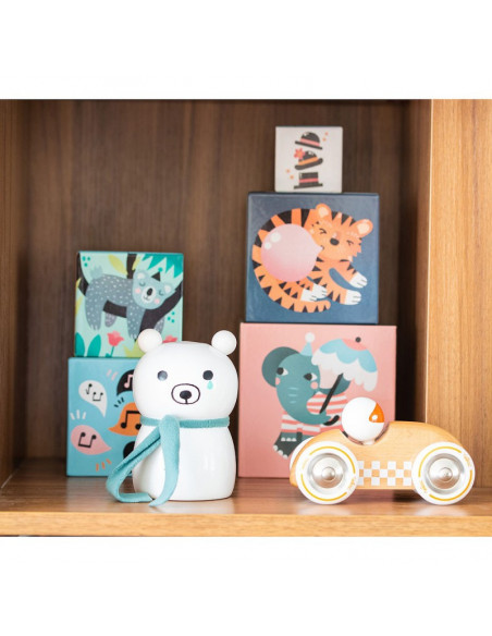 Cubes Gigognes les animaux Michelle Carlslund