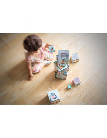 Cubes Gigognes les animaux Michelle Carlslund