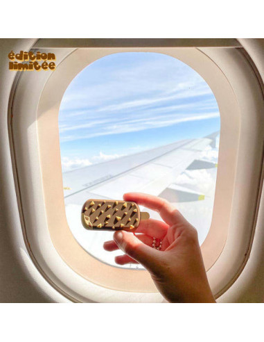 Money walkie - porte monnaie sans contact glace