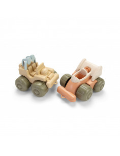 DANTOY - COFFRET 2 VEHICULES BIO