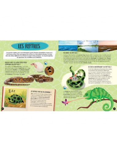 Mega atlas - le coffret du mega atlas des animaux