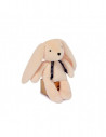 LAPIN DORLOTIN - PANTIN - IVOIRE