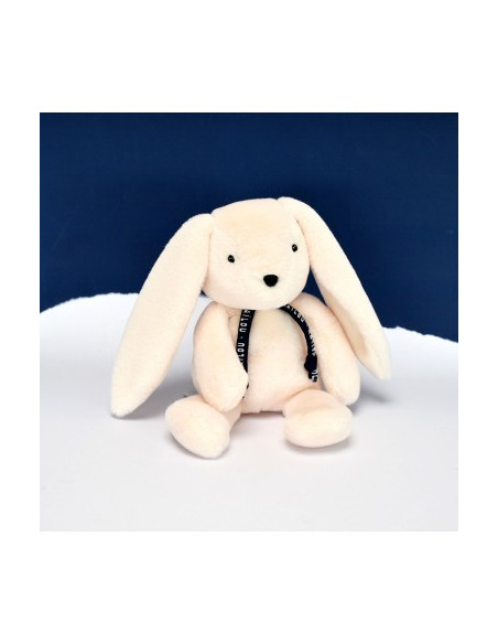 LAPIN DORLOTIN - PANTIN - IVOIRE