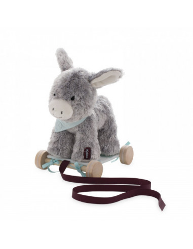 LES AMIS - REGLISS ANON A TRAINER