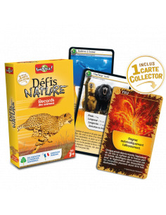 DEFIS NATURE - RECORD DES ANIMAUX 2
