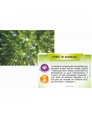 Planete - jungles et forets