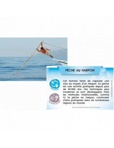 Bioviva planete - mers et oceans