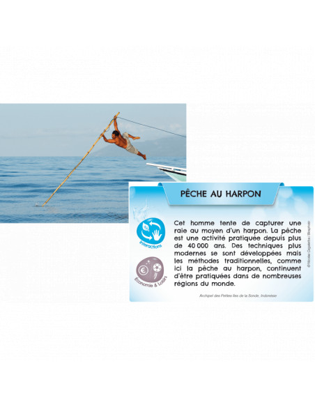 Bioviva planete - mers et oceans