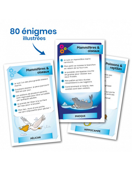 Enigmes - monde marin