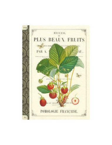 Carnet mots de passe - fraises