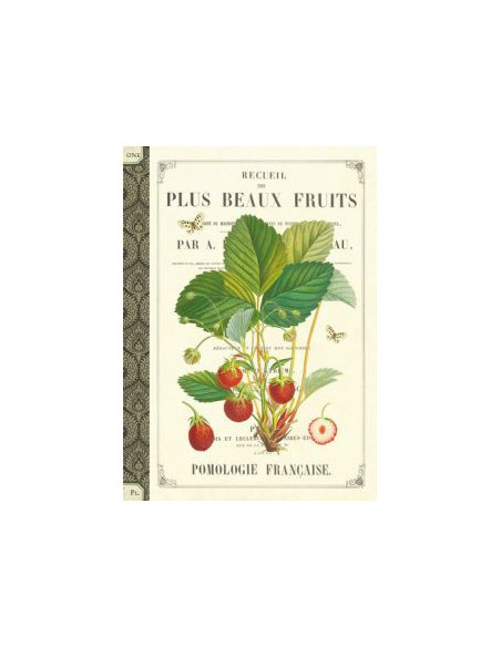 Carnet mots de passe - fraises