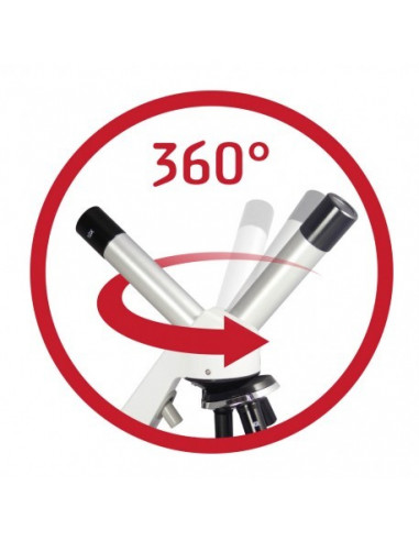 Experience