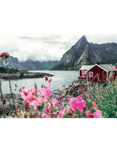 ravensburger - puzzle  Highlights Norvège 1000p 2
